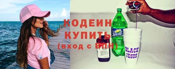 ГАЛЛЮЦИНОГЕННЫЕ ГРИБЫ Дмитриев