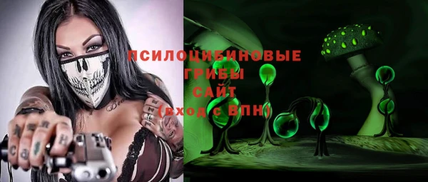 мескалин Ельня