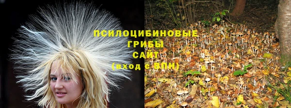 ALPHA PVP Елабуга