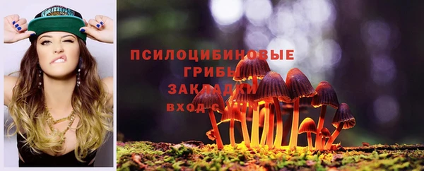 мескалин Ельня